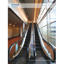 Automatic Escalators with High Quality Parts and Warranty